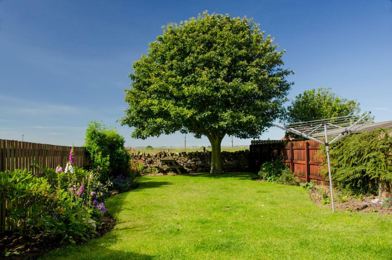 Beadnell Cottage Exterior photo